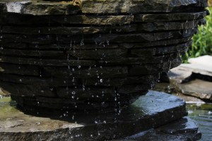 Matthaei Botanical Gardens 029