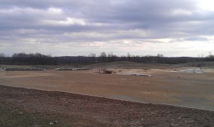 So long trees, so long grass....