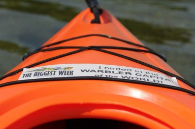 Even my kayak has a birding bumper sticker!
