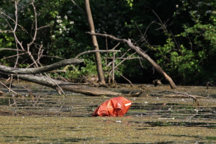 Helium-filled balloon with ribbons tangled in the lake