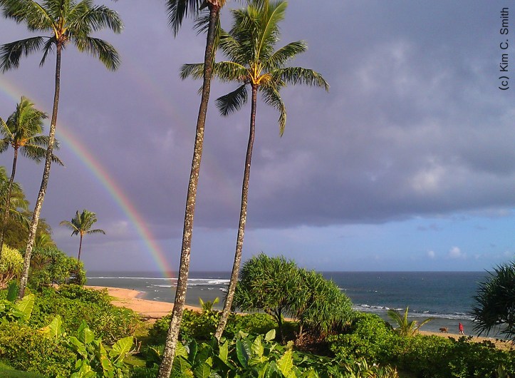This double rainbow greeted us early this morning at Ha'ena Beach.