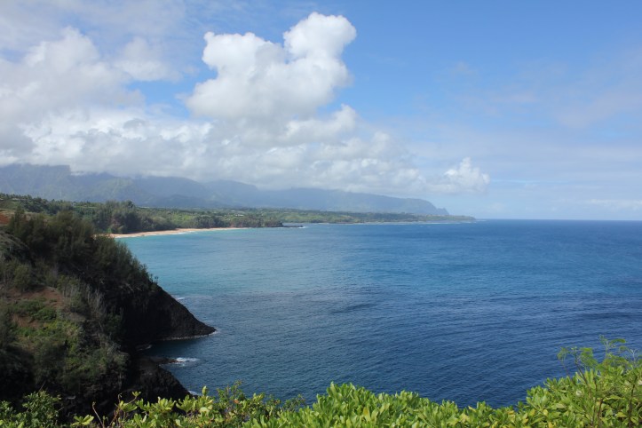 Northeast coast of Kaua'i, seen from Kilauea Point NWR