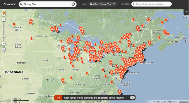 Snowy Owls irruption map from eBird