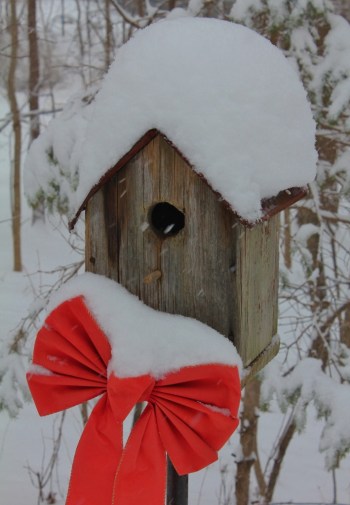 Red bow and snow-covered birdhouse (709x1024)