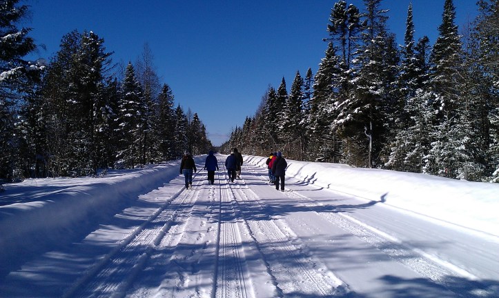 Some of our group looking for birds at Hulbert Bog.