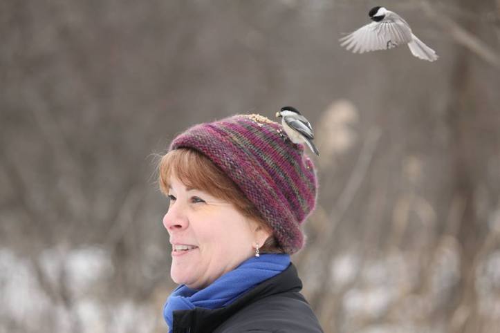 A Black-capped Chickadee eats seed from my hat!