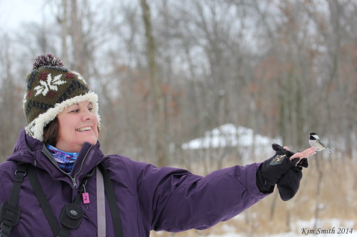 Janet feeding a Chickadee.
