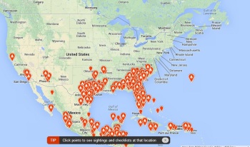 eBird map showing locations of Black-and-White Warblers as of March 19, 2014