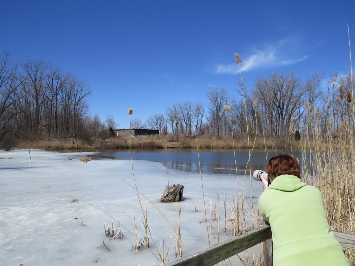 Those ducks are too far away for a good shot!