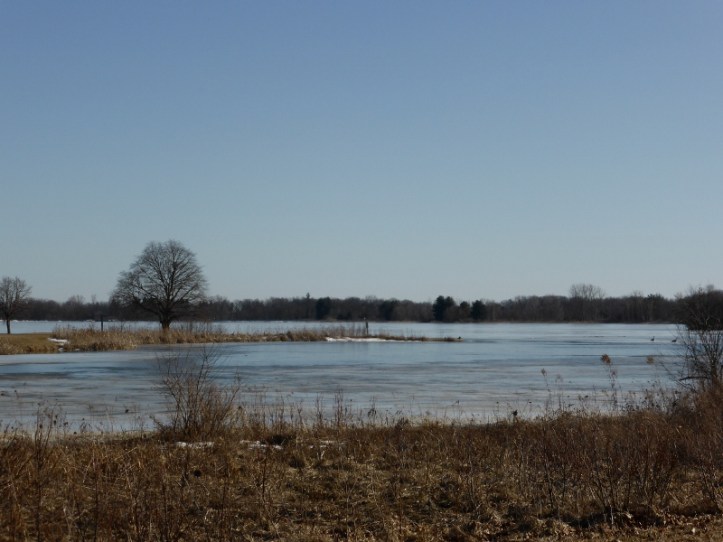 Stony Creek lake, still about 75% ice-covered.