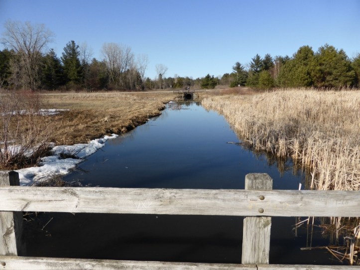 Landscapes at Stony Creek in early spring (6) (800x600)