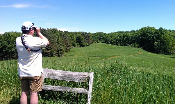 Eric looking over the meadow at Otis Farm