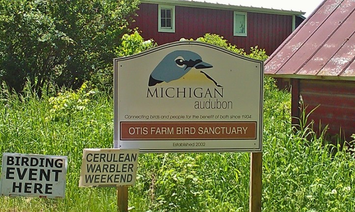 Otis Sanctuary - Cerulean Warbler Weekend (4) (800x479)