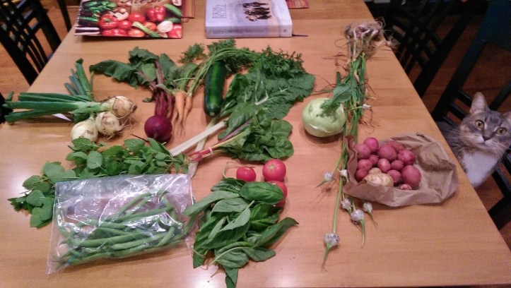 Dexter wants some too!