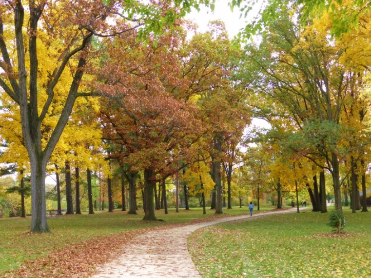 Rochester Municipal Park (13) (800x600)