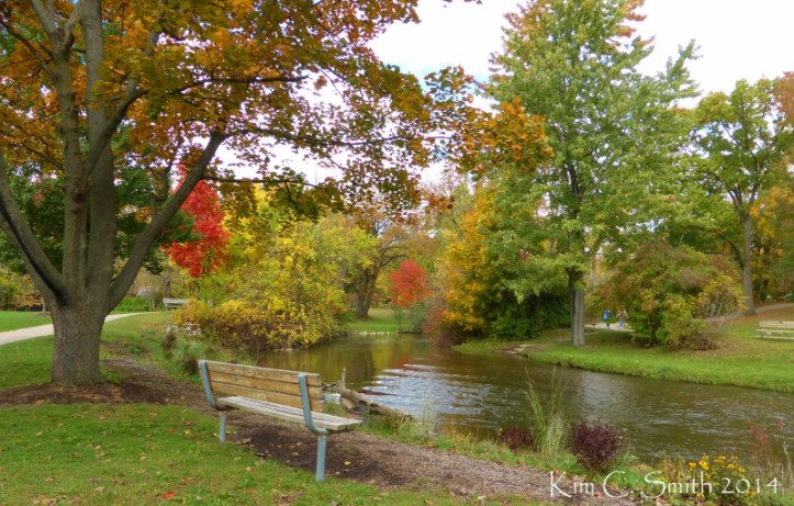 Rochester Municipal Park bench and creek w sig