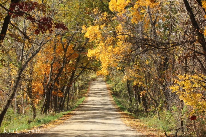 Rural road in Lapeer county with fall foliage w sig