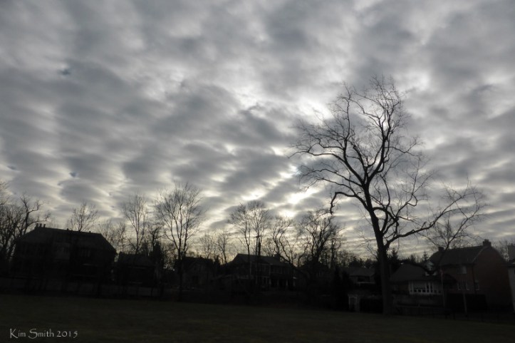 This was the sky as I ended my walk today.