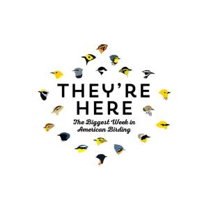 Biggest Week T-shirt for 2015