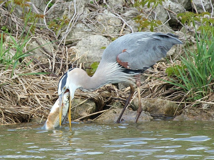 Getting it turned around...