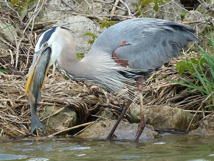 Oh yeah, here we go...