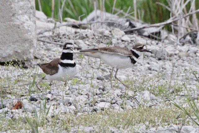 Okay, back to your business, nothing to see here.