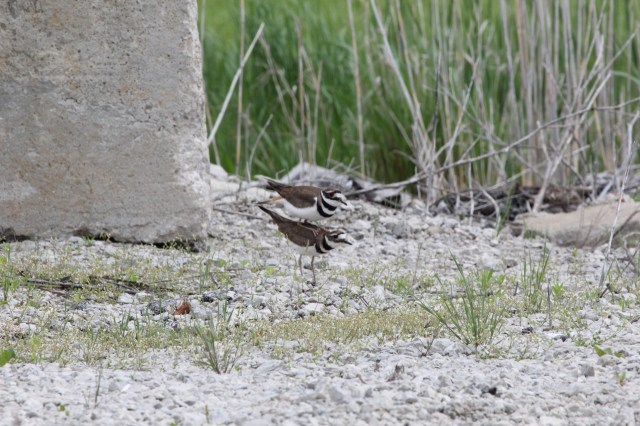 Hmm, what's going on here? Need a closer look....