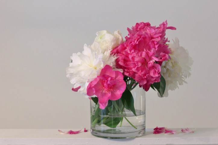 The white ones are Duchess de Nemours peonies. I don't remember the name of the pink ones.