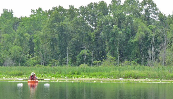 Eric watching a Great Egret hunting along the banks