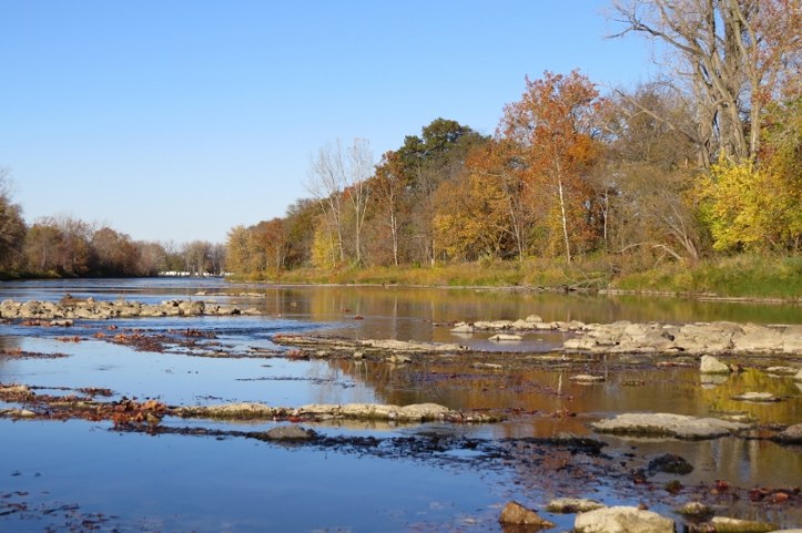 A shallower section of the Sandusky River