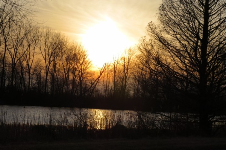 Sunset at Magee Marsh Feb 23 2016 v2 (800x533)