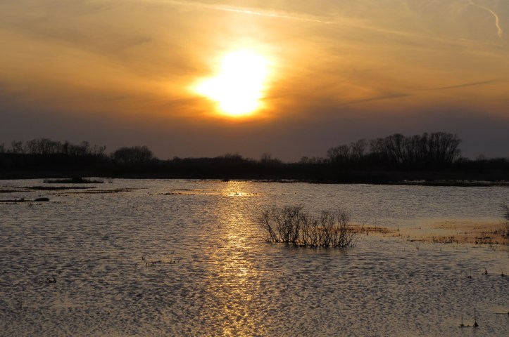 Sunset at Magee Marsh with reflection on water