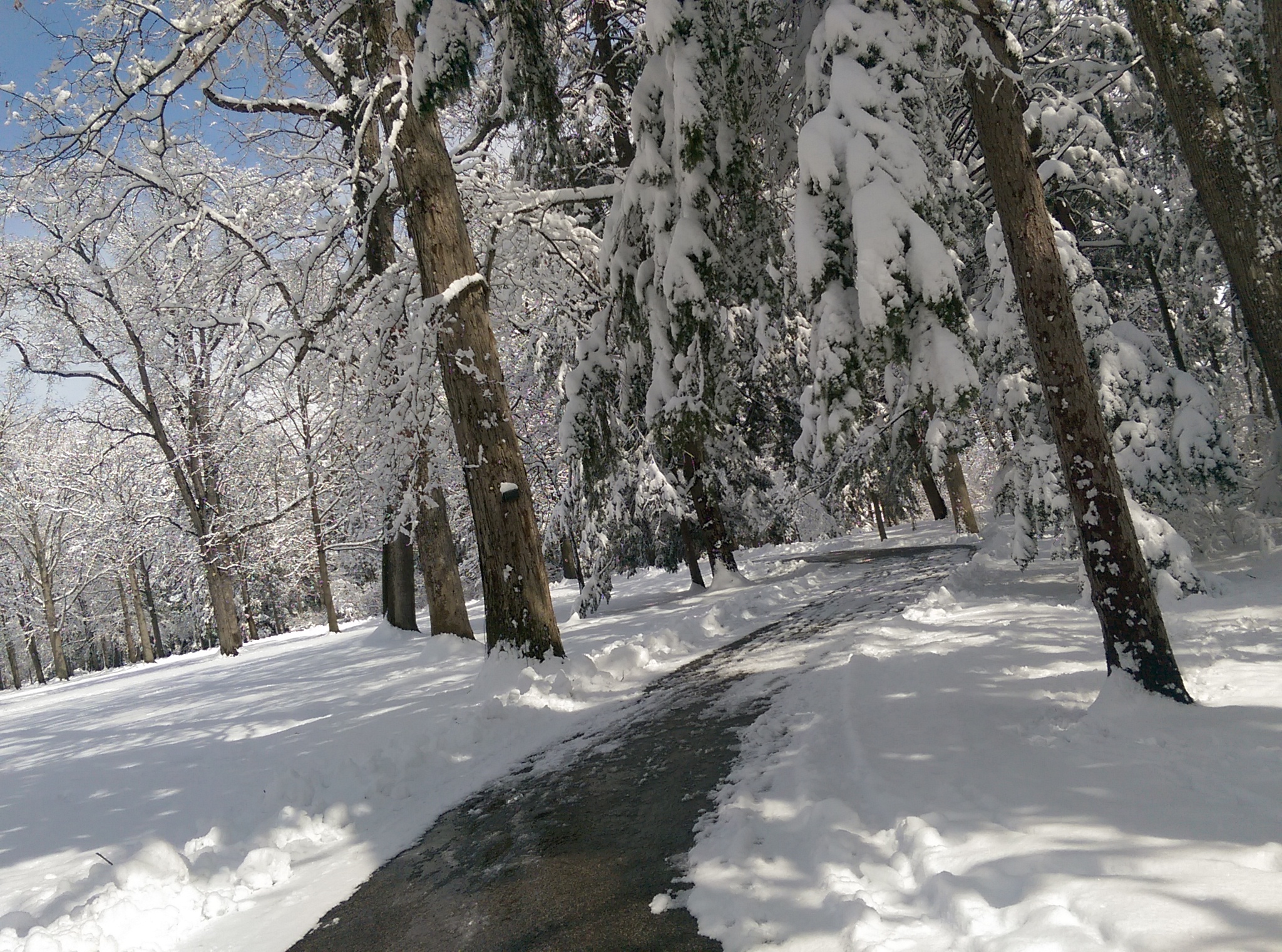 Hayes Memorial - April snow v1.jpg