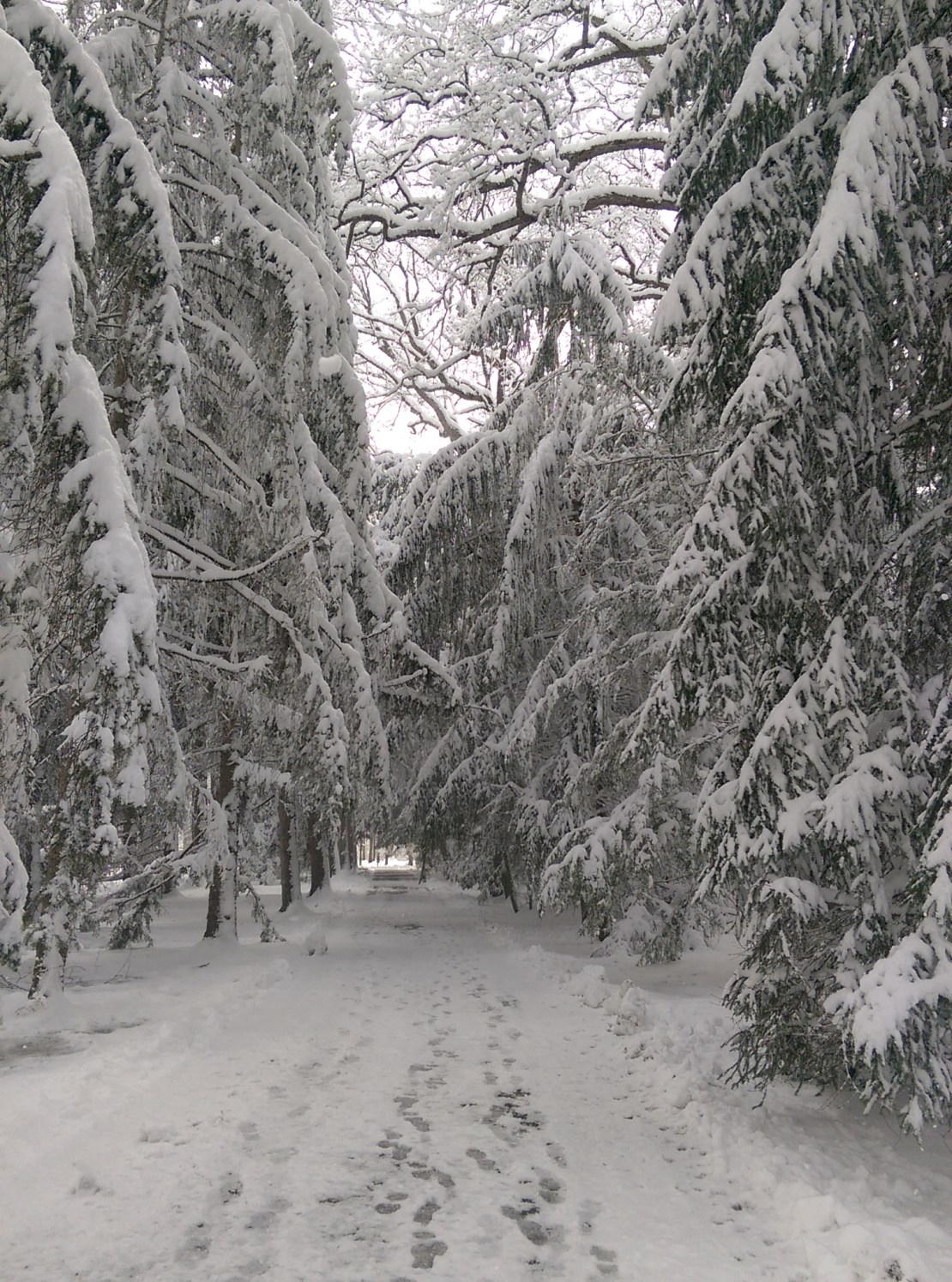 Hayes Memorial - April snow v5.jpg