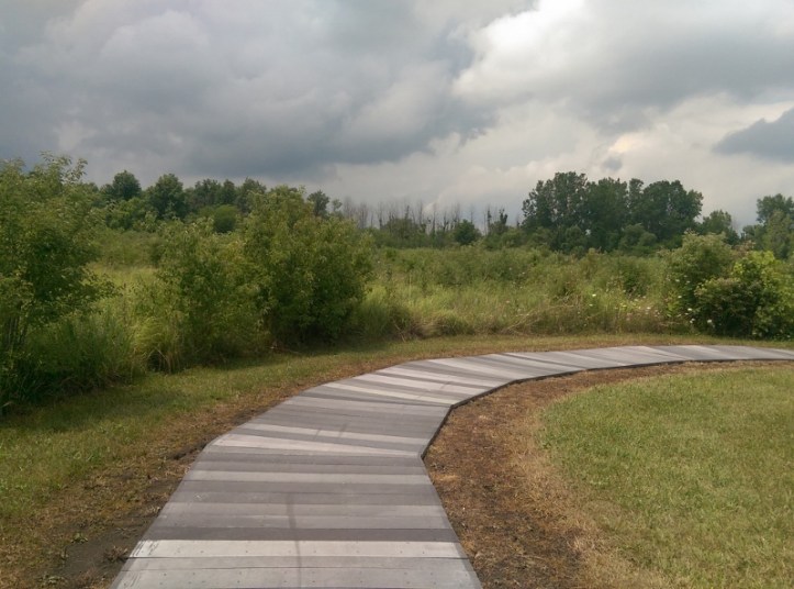 Blue Heron Reserve meadow v2 7-31-2016 (800x594)