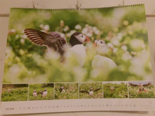puffins-on-calendar-in-garage-1024x765