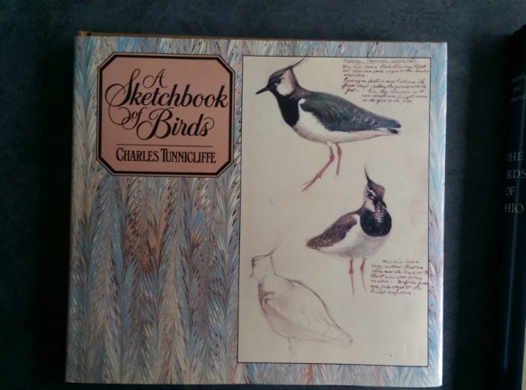Blog - A Sketchbook of Birds (800x594)