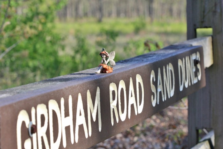 Girdham Road Sand Dunes sign with fairy (1024x683)