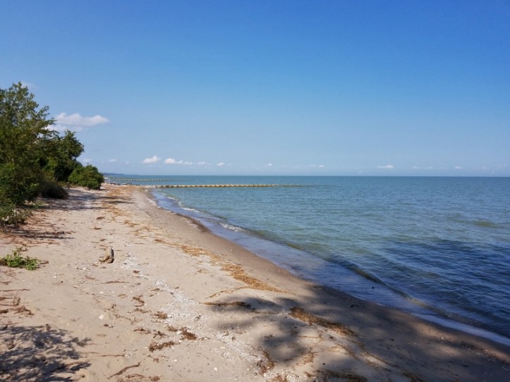 Magee beach view - Sept 16 2017 (800x600)