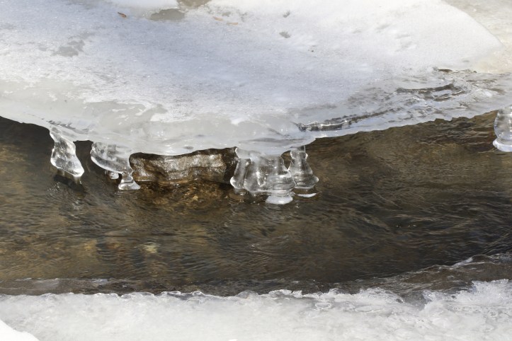 Ice formations on river for blog - Wildwood (2)