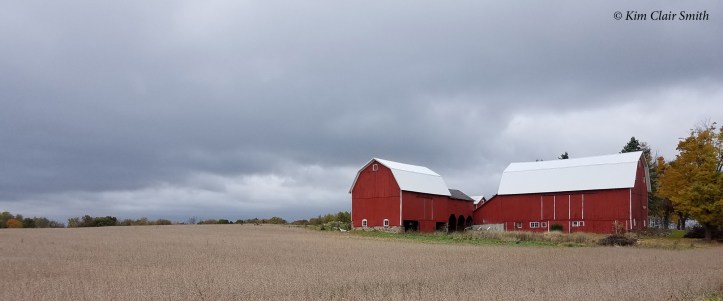 Red barns in crane country - Jackson Michigan w sig