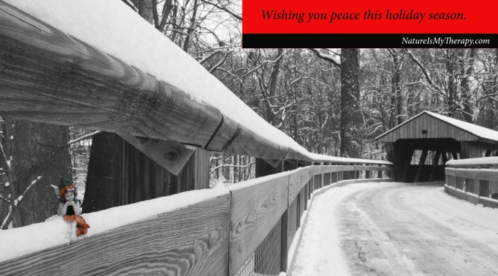 Wishing You Peace this holiday season - NIMT resized