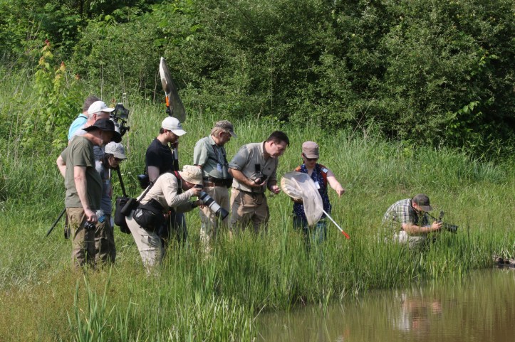 Odo-con field trip at Cooper Hollow