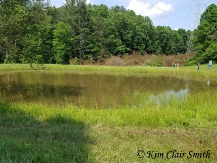 Pond in Cooper Hollow for Odo-Con