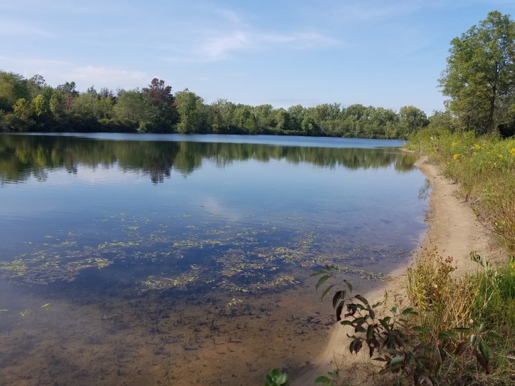Lake view at Wiregrass