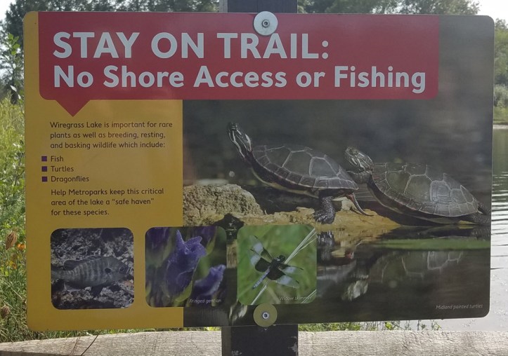 Stay on Trail sign at Wiregrass