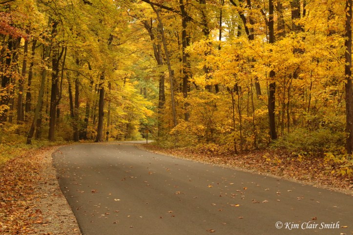 Fall at Secor v2 Kim Clair Smith