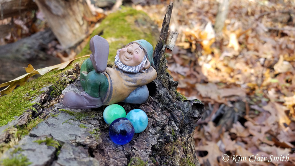 Gnome in the woods - fall leaves - blog