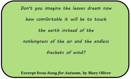 Song for Autumn excerpt