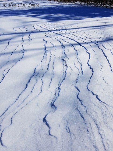WInd patterns in the snow - blog